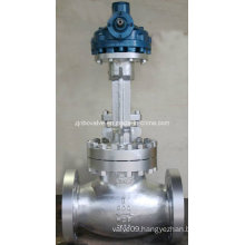 API Carbon Steel Flanged Globe Valve (900LB-RTJ)